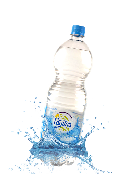 botella